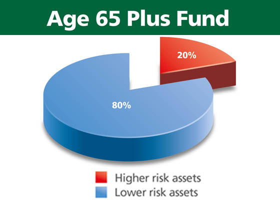 age 65 plus fund